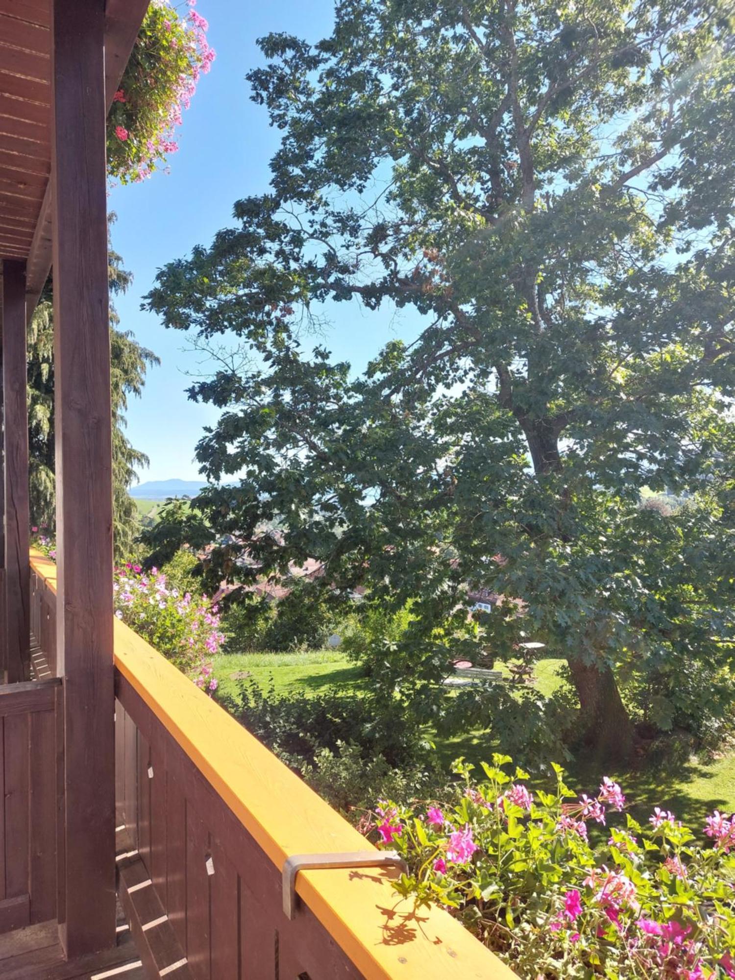 Landhaus Schoenblick Bad Kohlgrub Luaran gambar